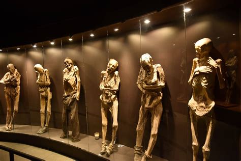  Museo de las Momias de Guanajuato: การเดินทางข้ามเวลากับศพมัมมี่ที่น่าตื่นตา